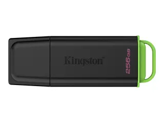 Kingston DataTraveler Exodia - USB-flashstasjon 256 GB - USB 3.2 Gen 1
