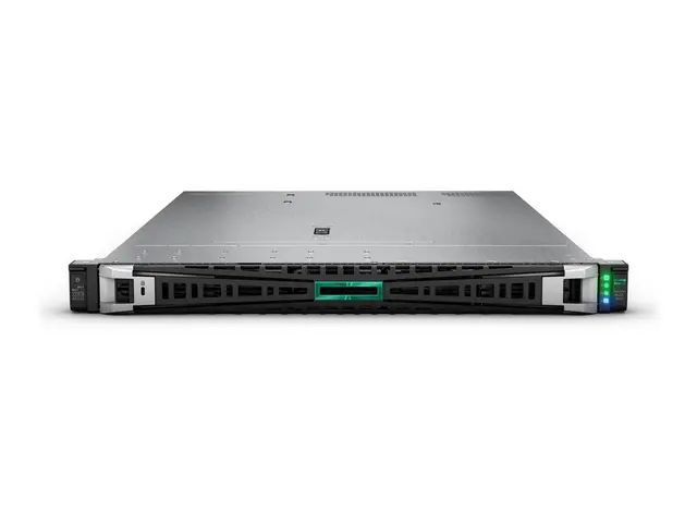 HPE ProLiant DL325 Gen11 - rackmonterbar ingen CPU - 0 GB - uten HDD