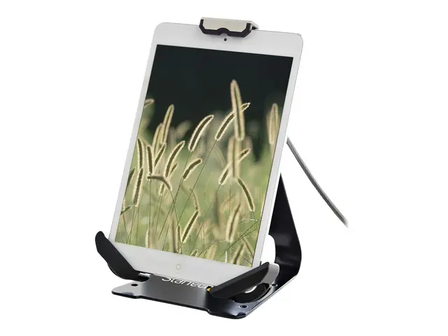 Startech Secure Tablet Stand w/ K-Slot Cable Lock, Locking Holder ...