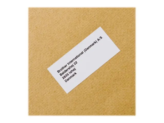 Brother DK-22225 - Papir - svart på hvitt - Rull (3,8 cm x 30,5 m)...