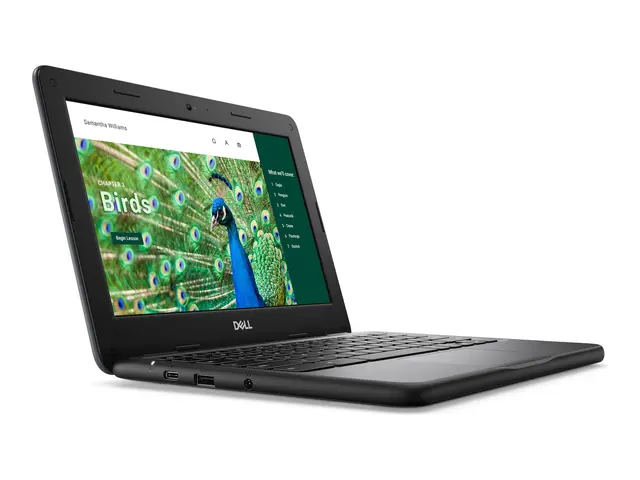 Dell Chromebook 3120 (2024) - 11.6" Intel N-series N100 8 GB RAM 6...