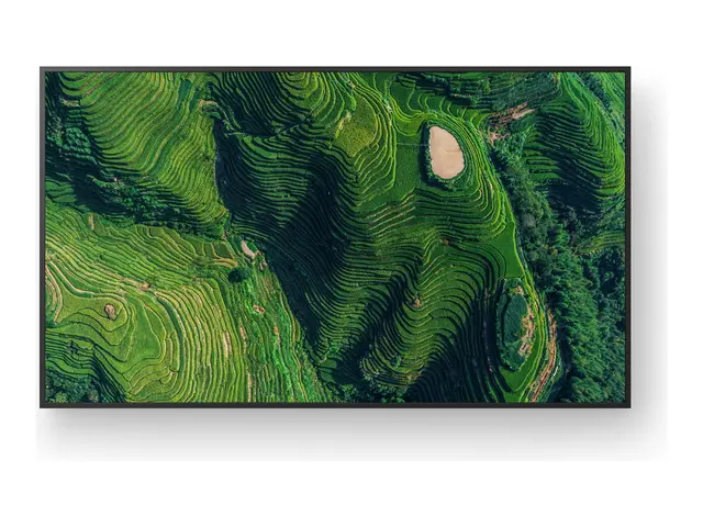 Sony Bravia Professional Displays FW-50BZ35P 50" Diagonalklasse BZ35P Series LED-bakgrunnsbelyst LCD-skjerm - intelligent skilting - Android - 4K UHD (2160p) 3840 x 2160 - HDR - Edge LED 