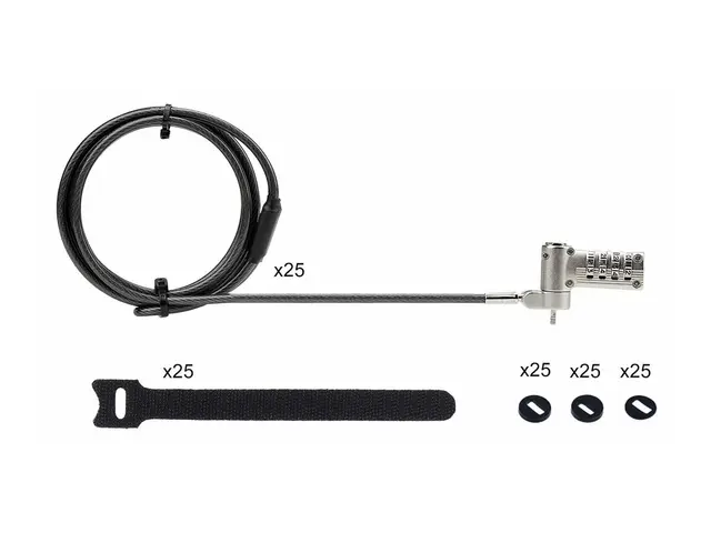 StarTech.com 25-Pack Laptop Lock, Compatible w/Noble Wedge/Nano/K-...