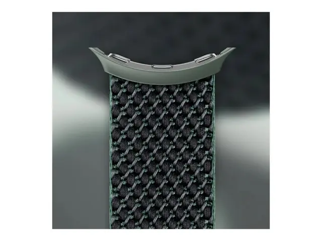 Google - Bånd for smart armbåndsur 137 203 mm eføy Pixel Watch