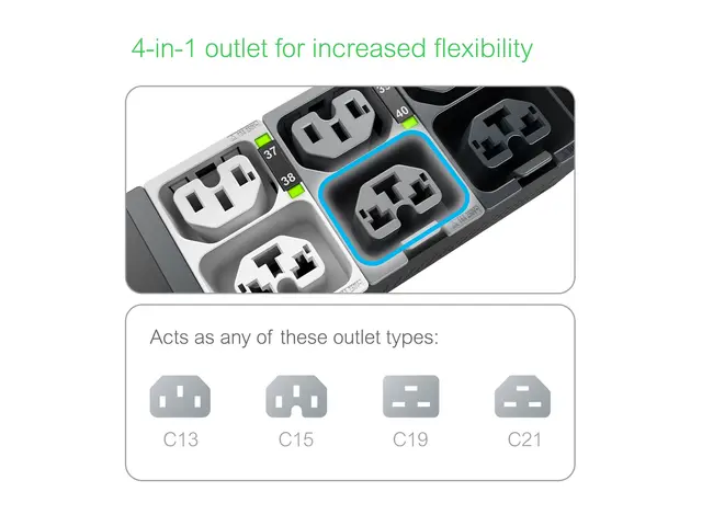 APC NetShelter Rack PDU Advanced - strømfordelerenhet svitsjet, 23...
