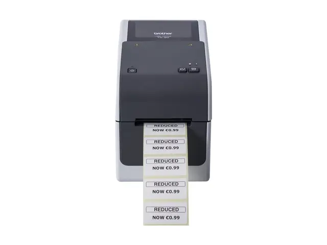 Brother TD-2320D300 - Etikett-/kvitteringsskriver S/H direktetermi...
