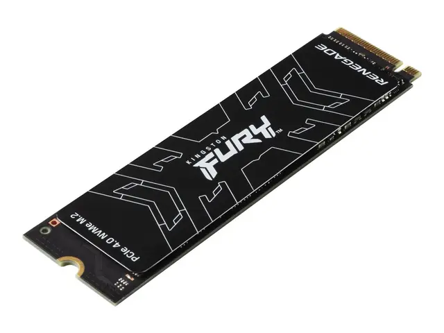 Kingston FURY Renegade - SSD 500 GB intern M.2 2280 PCIe 4.0 (NVMe...