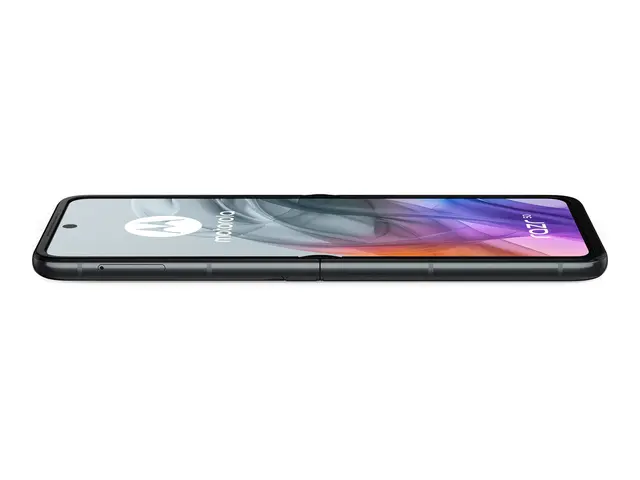 Motorola RAZR 50 - Koalagrå 256 GB