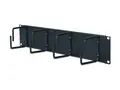 APC - Kabelordner - svart - 2U for NetShelter EP; NetShelter ES; NetShelter SX; Netshelter VS; Netshelter VX; NetShelter WX