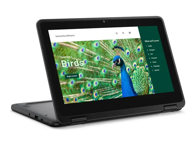 Dell Chromebook 3120 (2024) - 11.6" Intel N-series N100 8 GB RAM 6...