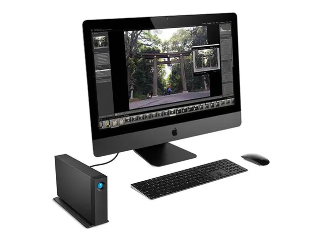LaCie d2 Professional STHA24000800 - Harddisk 24 TB ekstern (stasj...