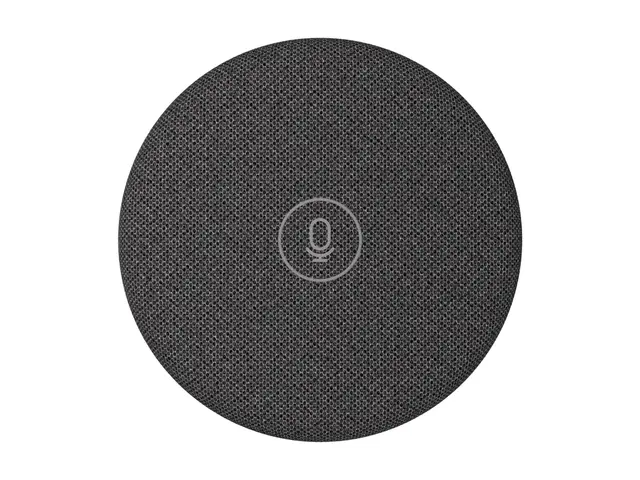 Logitech Rally Mic Pod 2 - Mikrofon - RJ-45 - grafitt