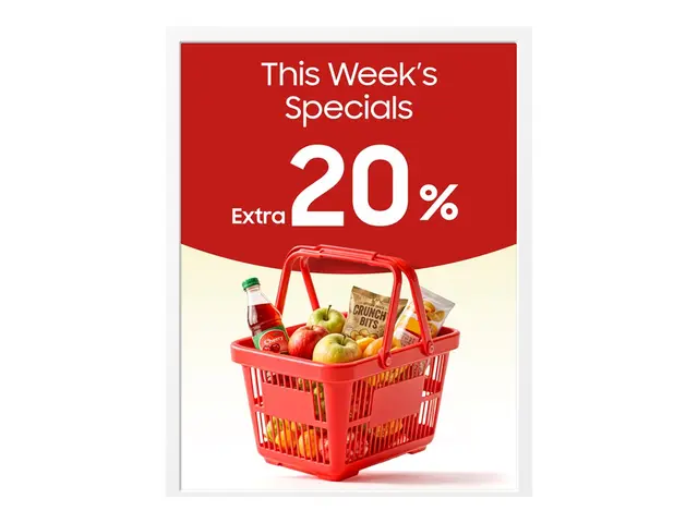 Samsung EM13DX - 13" Diagonalklasse (13.3" synlig) EMDX series e-P...