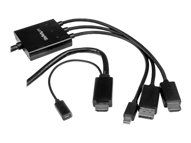 StarTech.com 2m 6 ft HDMI, DisplayPort or Mini to HDMI Converter C...