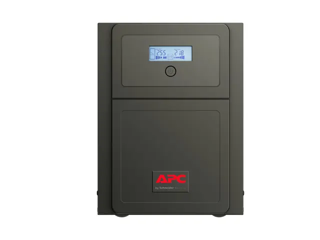 APC Easy UPS SMV SMV3000CAI - AC 220/230/240 V 2100 watt 3000 VA 4...
