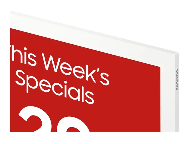 Samsung EM13DX - 13" Diagonalklasse (13.3" synlig) EMDX series e-P...