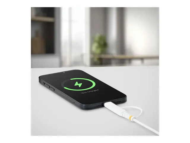 StarTech - USB-kabel USB-C (hann) til USB 2.0 3 A 2 m passiv, Powe...