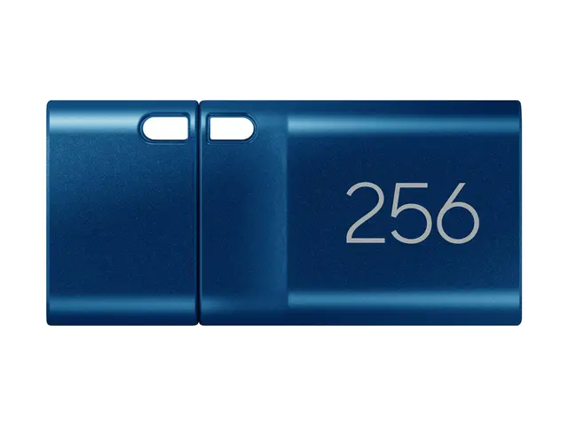 Samsung MUF-256DA - USB-flashstasjon 256 GB USB-C 3.2 Gen 1 blå