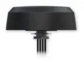 Teltonika - Antenne - mobiltelefon - 4.7 dBi rundtstr&#229;lende - skruemontering, takmonterbar - for Teltonika RUTC50, RUTM50, RUTM51, RUTX50, TRB500, TRM500