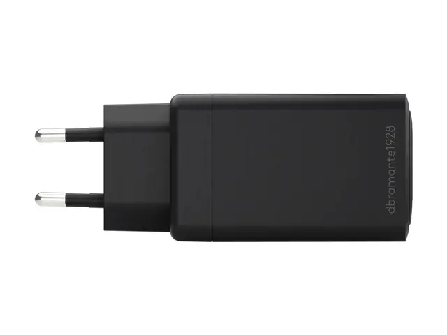 dbramante1928 re-charge - Strømadapter - EU, 2 m USB-C cable - 70 ...