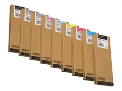 Epson T6061 - 220 ml - fotosort - original blekkpatron - for Stylus Pro 4800, Pro 4880, Pro 4880 AGFA