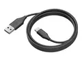 Jabra - USB-kabel - 24 pin USB-C (hann) til USB-type A (hann) USB 3.0 - 2 m - for PanaCast 50, 50 Room System