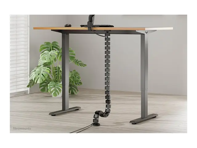 Neomounts - Kabelstyringsryggrad magnetic fixture, universal svart