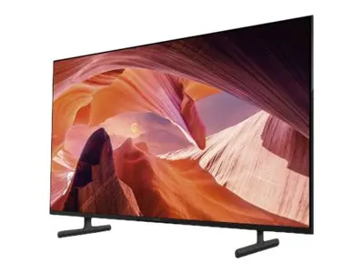 Sony Bravia Professional Displays FWD-50X80L - 50" Diagonalklasse ...