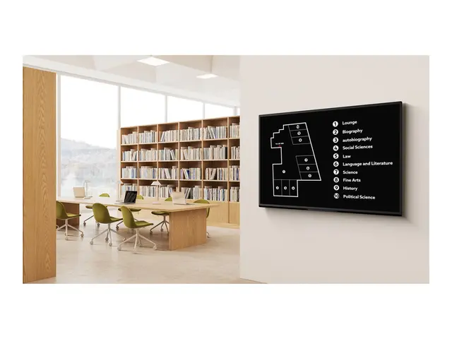 Sony Bravia Professional Displays FW-65EZ20L - 65" Diagonalklasse ...