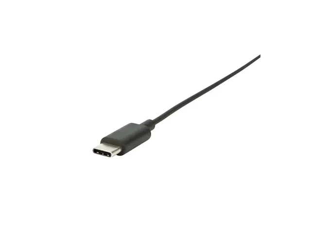 Jabra BIZ 2300 USB-C UC Duo - Hodesett - on-ear - kablet - USB-C