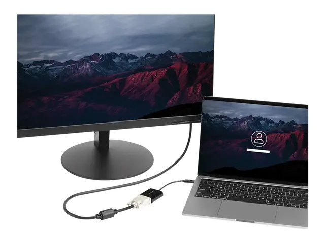 StarTech.com USB C to DVI Adapter - Black 1920x1200 Type Video Con...