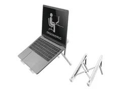 Neomounts NSLS010 - Notebookstativ - sølv