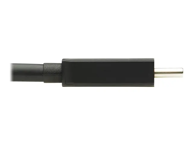 Eaton Tripp Lite Series USB C to DisplayPort Adapter Cable (M/F) w...