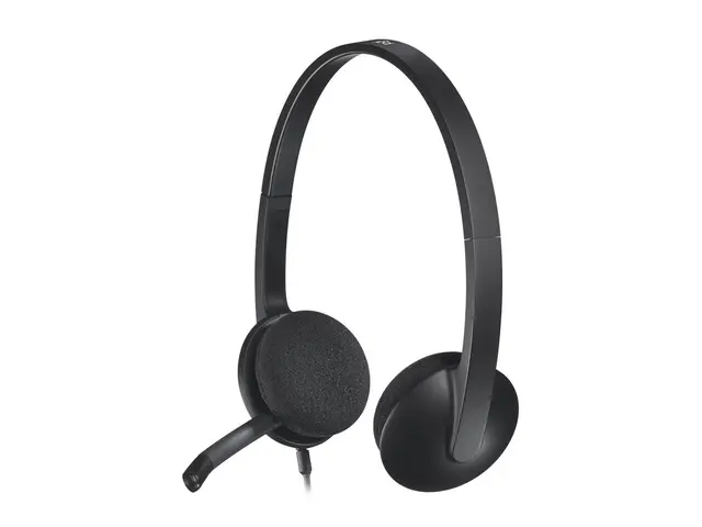 Logitech USB Headset H340 - Hodesett - on-ear - kablet