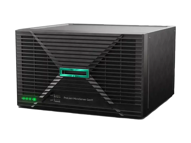 HPE ProLiant MicroServer Gen11 - ultramikrotårn Xeon E-2414 2.6 GH...