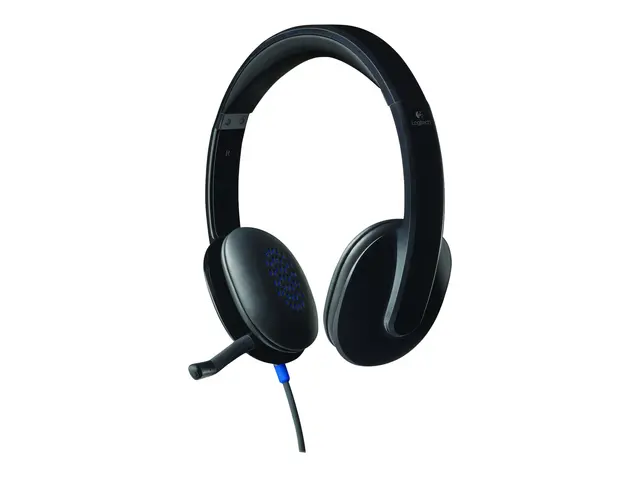 Logitech USB Headset H540 - Hodesett - on-ear - kablet