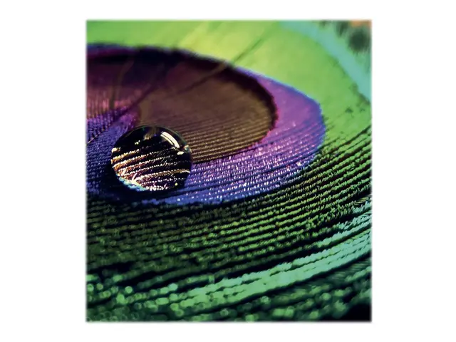 Epson Production - Polyetylen (PE) - halvblank - mikroporøs - 200 ...