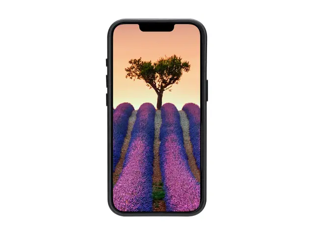 dbramante1928 Roskilde - Baksidedeksel for mobiltelefon MagSafe-sa...