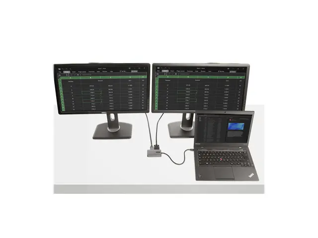 Startech USB C Video Adapter, to HDMI DVI VGA Up 4K 60Hz, Aluminum...