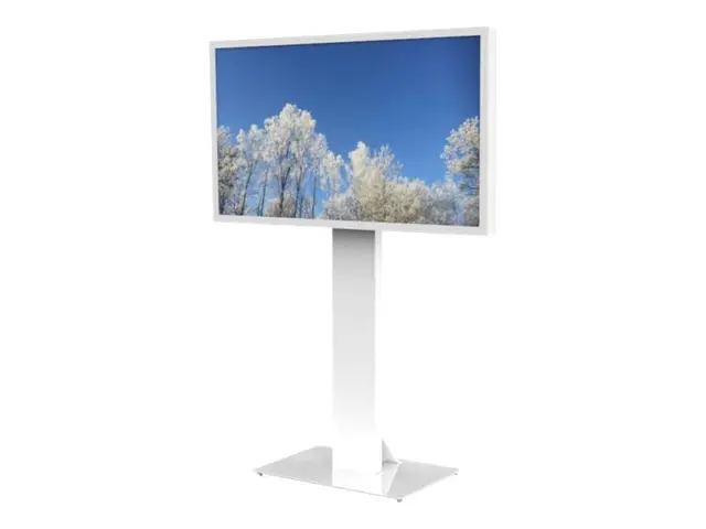 HI-ND Floorstand Glass Universal 49"- 65" - Stativ - for LCD-skjer...