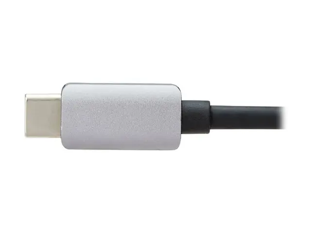 Eaton Tripp Lite Series USB-C to DisplayPort Active Adapter Cable ...