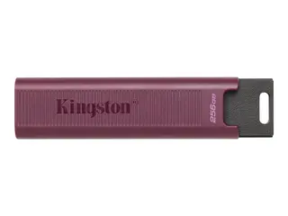 Kingston DataTraveler Max - USB-flashstasjon 1 TB - USB 3.2 Gen 2