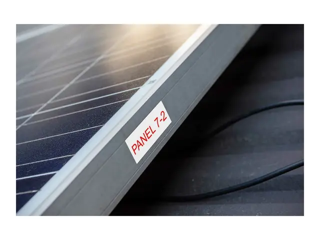 Brother TZe-262 - Rødt på hvitt Rull (3,6 cm x 8 m) 1 kassett(er) ...