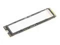 Lenovo - SSD - kryptert - 2 TB performance - intern - M.2 2280 - PCI Express 5.0 x4 (NVMe) - TCG Opal Encryption 2.0 - CRU - for ThinkPad X1 2-in-1 Gen 10; ThinkStation P3 Gen 2; P3 Tiny Gen 2; P5; P7; P8