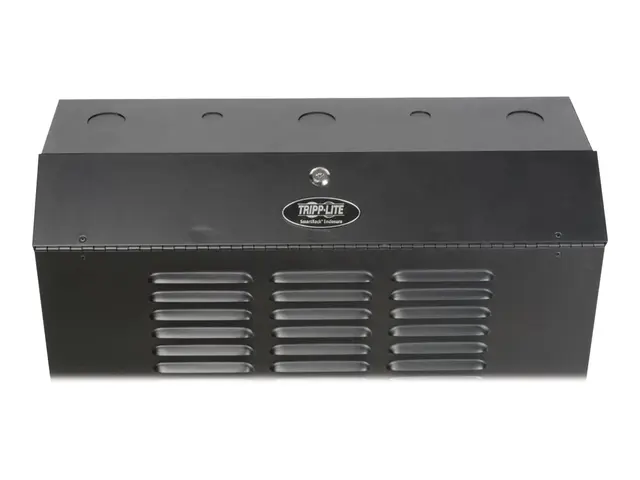 Eaton Tripp Lite Series 6U Wall Mount Rack Enclosure Server Cabine...