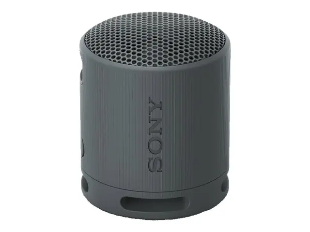 Sony SRS-XB100 - Høyttaler for bærbar bruk trådløs Bluetooth Appst...
