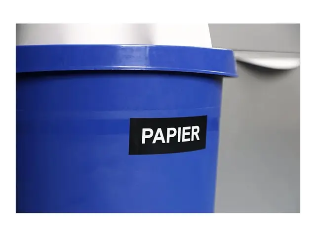 Brother TZe-365 - Hvitt på svart Rull (3,6 cm x 8 m) 1 kassett(er)...