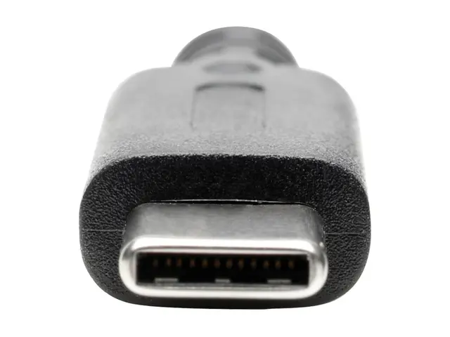 Eaton Tripp Lite Series USB C to DisplayPort Video Adapter Convert...
