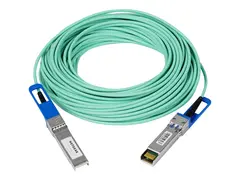 NETGEAR - Direkte 10GBase-koblingskabel SFP+ (hann) til SFP+ (hann) - 20 m - fiberoptisk - aktiv