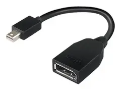Lenovo - DisplayPort-adapter - Mini DisplayPort (hann) til DisplayPort (hunn) 17.6 cm - for ThinkCentre M70; M75t Gen 2; M80; M90; ThinkStation P330 Gen 2; P34X; P350; P520; P620